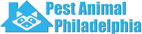 Philadelphia Wildlife and Animal Removal